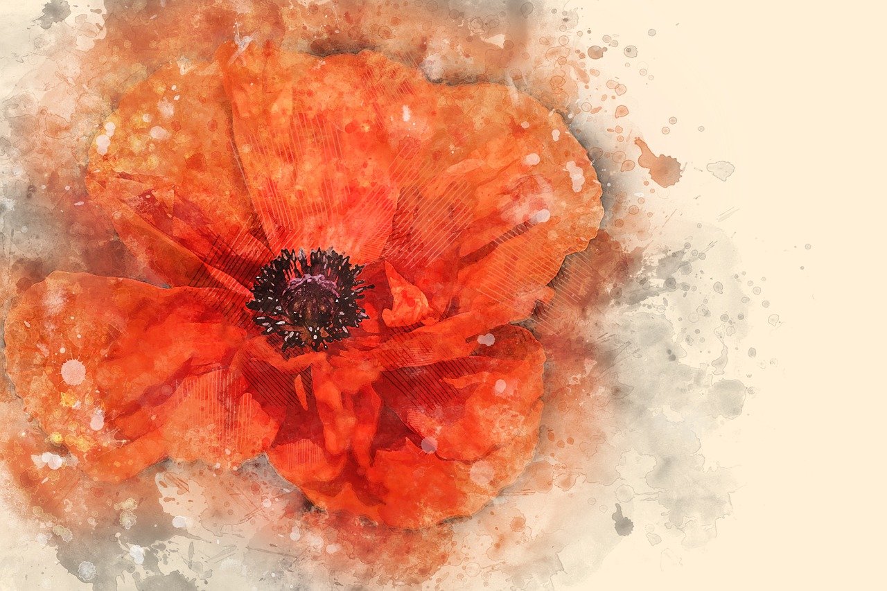 poppy-02